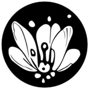 Logo di Pollinations, una piattaforma AI che facilita la creazione di arte digitale e contenuti visivi. Utilizzata da artisti, marketer e educatori, Pollinations offre funzionalità come la generazione di immagini, video e testi, una libreria di modelli generativi, e uno spazio collaborativo open source. La sua interfaccia intuitiva e l'impegno verso la community-driven innovation rendono Pollinations uno strumento essenziale per esplorare i confini della creatività assistita dall'IA